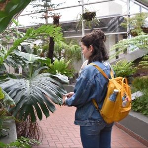 Meet your Posher, Michelle